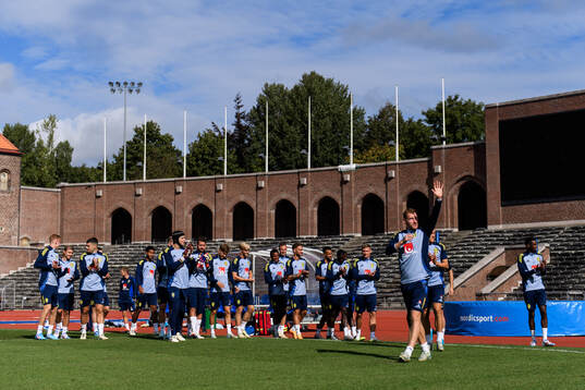 Dejan Kulusevski and players of the Swedish men's football