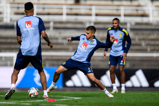 Yasin Ayari of the Swedish men's football national team at