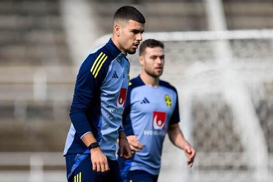 Edvin Kurtulus of the Swedish men's football national team