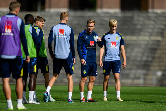 Anton Saletros, assistant coach Sebastian Larsson and Lucas