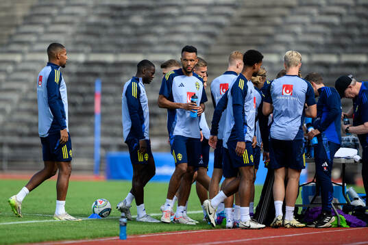 Alex Douglas of the Swedish men's football national team at