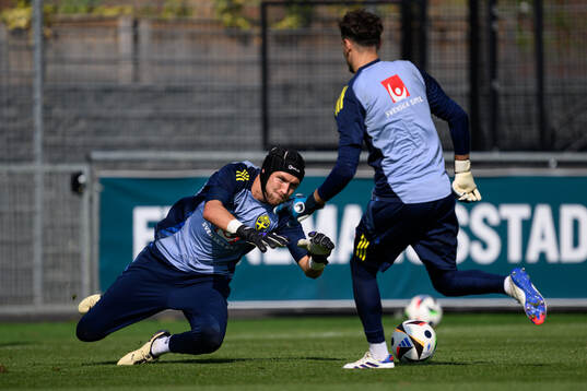 Goalkeeper Noel Törnqvist