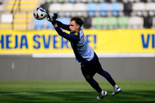 Goalkeeper Elis Bishesari