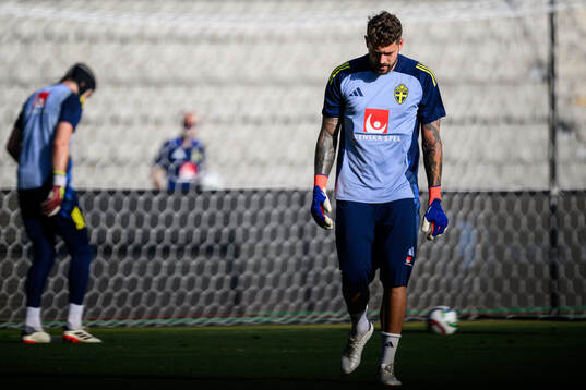 Goalkeeper Kristoffer Nordfeldt of the Swedish national