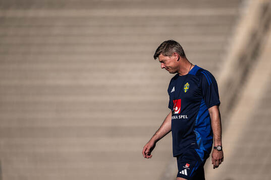 Jon Dahl Tomasson of the Swedish national football team