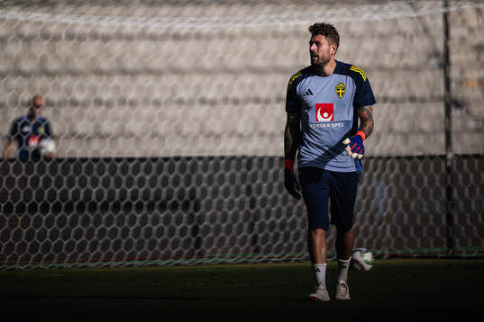 Goalkeeper Kristoffer Nordfeldt of the Swedish national
