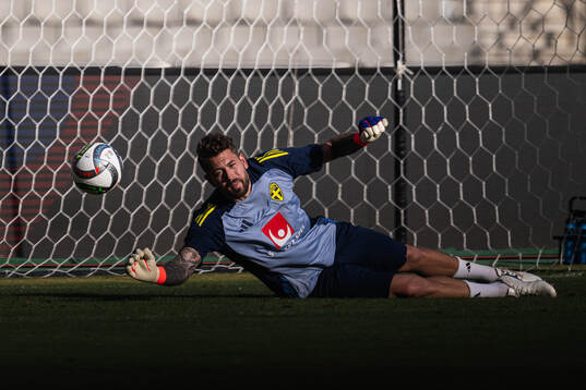 Goalkeeper Kristoffer Nordfeldt of the Swedish national
