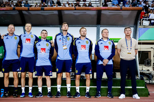 Head coach Jon Dahl Tomasson of Sweden