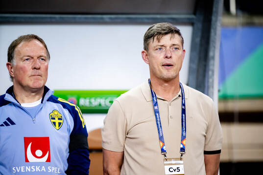 Head coach Jon Dahl Tomasson of Sweden