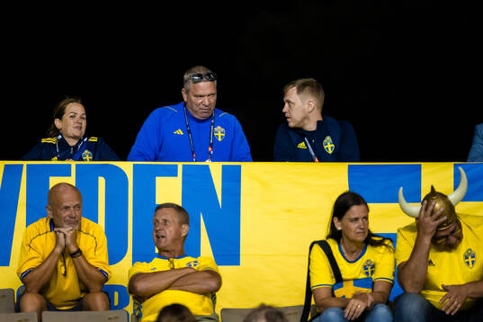 Martin Fredman, Head of security at the Swedish Football