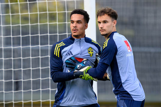 Goalkeepers Oliver Dovin and Elis Bishesari of Sweden