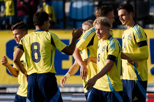 Daniel Svensson of Sweden celebrates the 1-0 goal