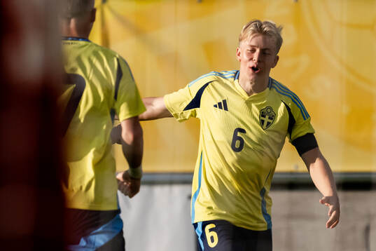 Daniel Svensson of Sweden celebrates the 1-0 goal