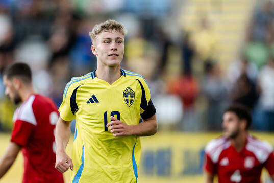Hugo Bolin of Sweden celebrates the 5-0 goal