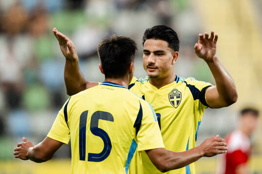 Matteo Perez Vinlöf and Jusef Erabi of Sweden celebrate