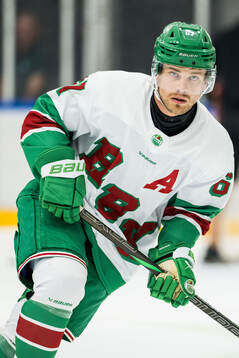 Rögles Leon Bristedt