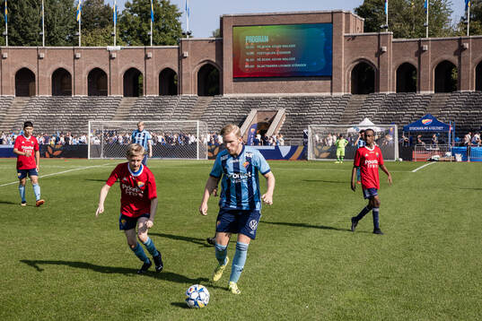 Djurgården Panthers