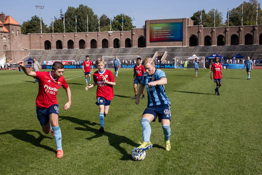 Djurgården Panthers