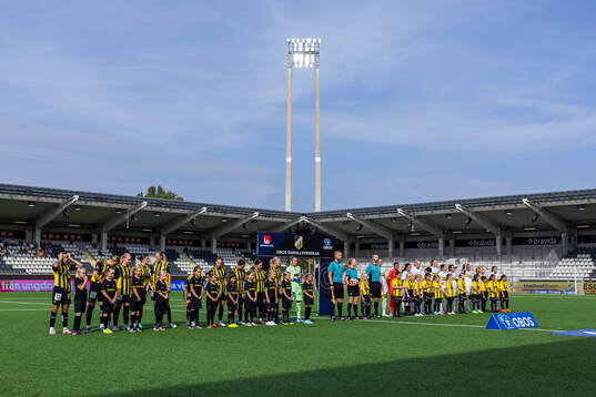 Häckens och AIKs spelare vid line-up