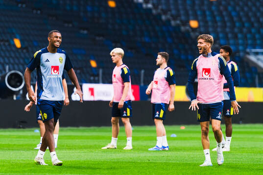 Isak Hien and Anton Saletros of the Swedish men's football
