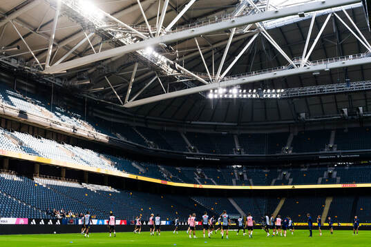 The Swedish men's football national team at a training