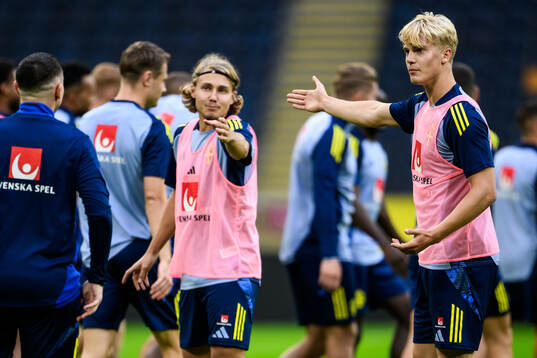 Sebastian Nanasi and Lucas Bergvall of the Swedish men's