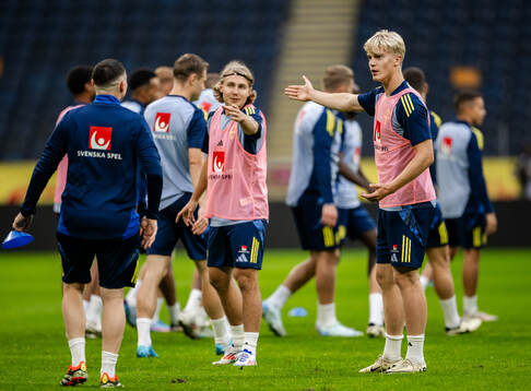 Sebastian Nanasi and Lucas Bergvall of the Swedish men's
