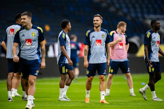 Linus Wahlqvist Egnell of the Swedish men's football