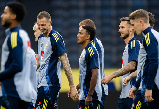 Niclas Eliasson of the Swedish men's football national team
