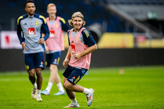 Sebastian Nanasi of the Swedish men's football national