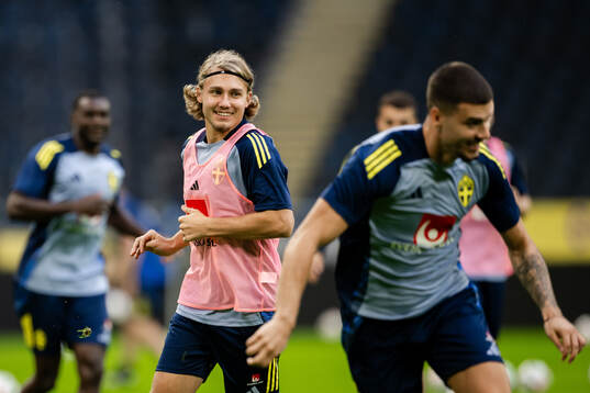 Sebastian Nanasi of the Swedish men's football national