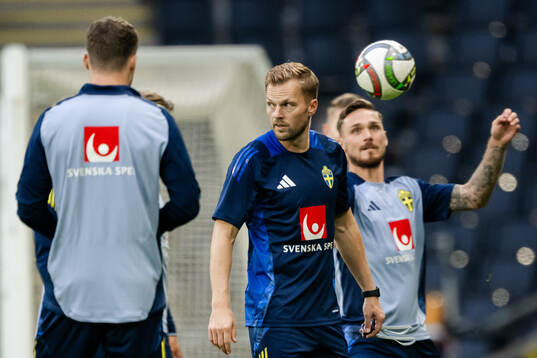 Assistant coach Sebastian Larsson of the Swedish men's