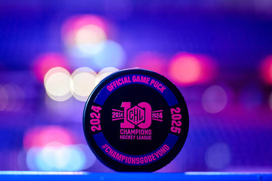 Official game puck