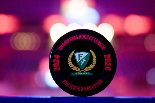 Official game puck