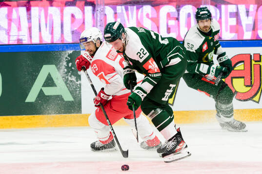 Raphael Herburger of Klagenfurt and Per Åslund of