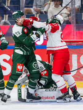 Adam Ollas Mattsson of Färjestad and Fabian Hockegger of