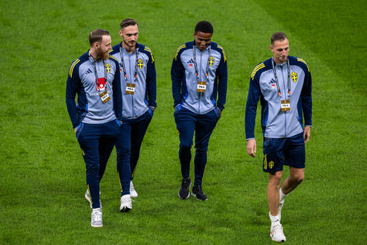 Goalkeeper Viktor Johansson, Linus Wahlqvist Egnell, Niclas