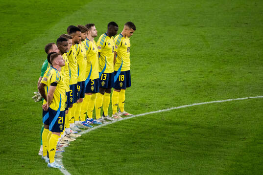 Players of Sweden