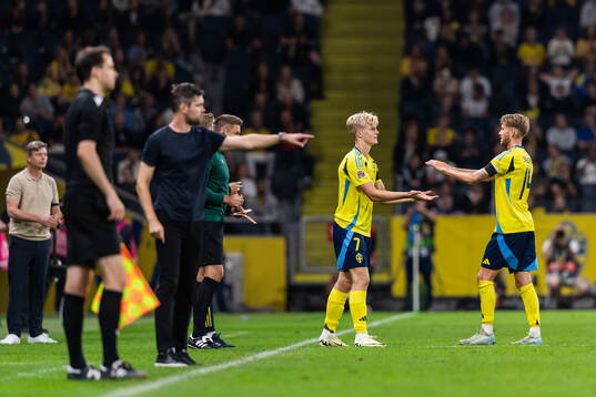 Lucas Bergvall of Sweden is substituted