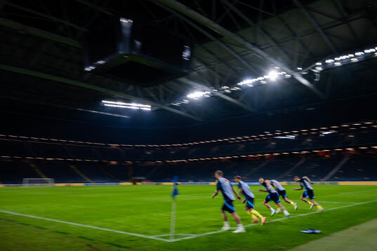 Players of Sweden