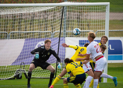 Sveriges målvakt Alexander Sandahl i U20 landskampen