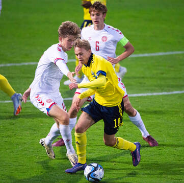 Sveriges Pontus Dahbo och Danmarks Mads Bomhult  i U20