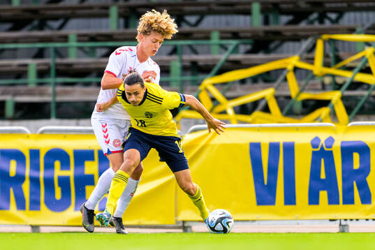 Amin Boudri of Sweden and Andreas Nibe of Denmark