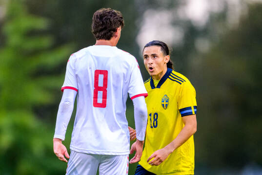 Amin Boudri of Sweden