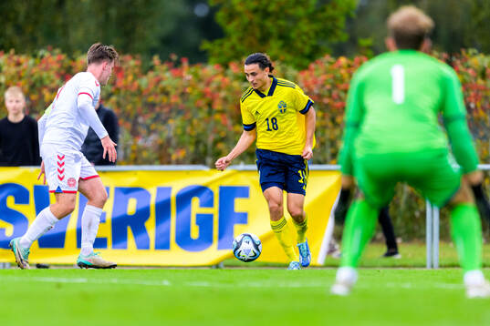 Amin Boudri of Sweden