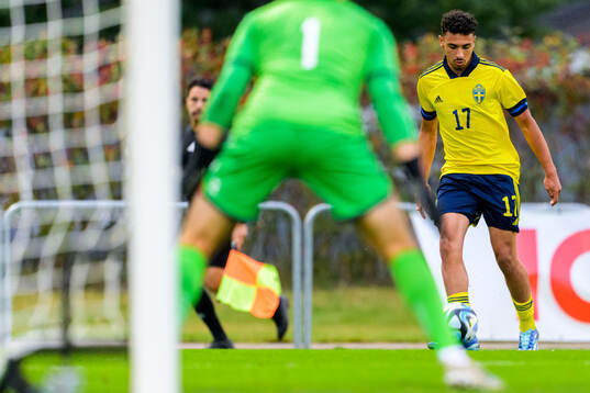 Moutaz Neffati of Sweden