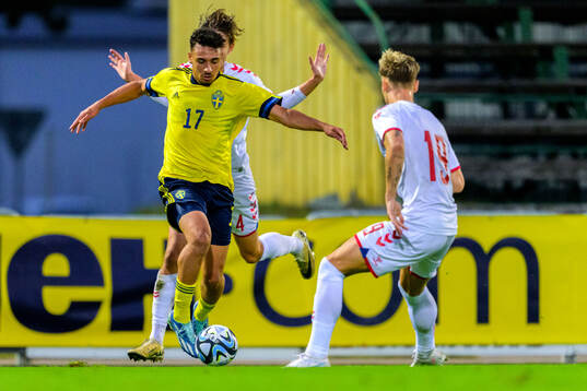 Moutaz Neffati of Sweden