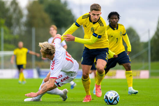 Mads Nybo of Denmark and Leonardo De Oliveira of Sweden