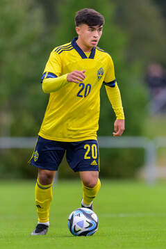 Alexander Thongla-Iad Warneryd of Sweden