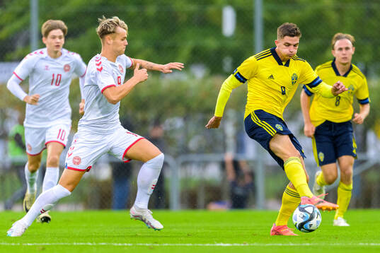Mads Nybo of Denmark and Leonardo De Oliveira of Sweden